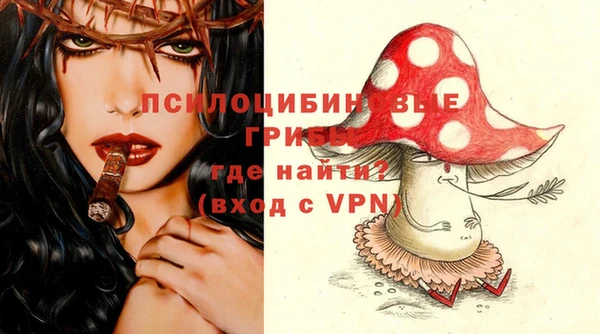 Альфа ПВП Новокубанск