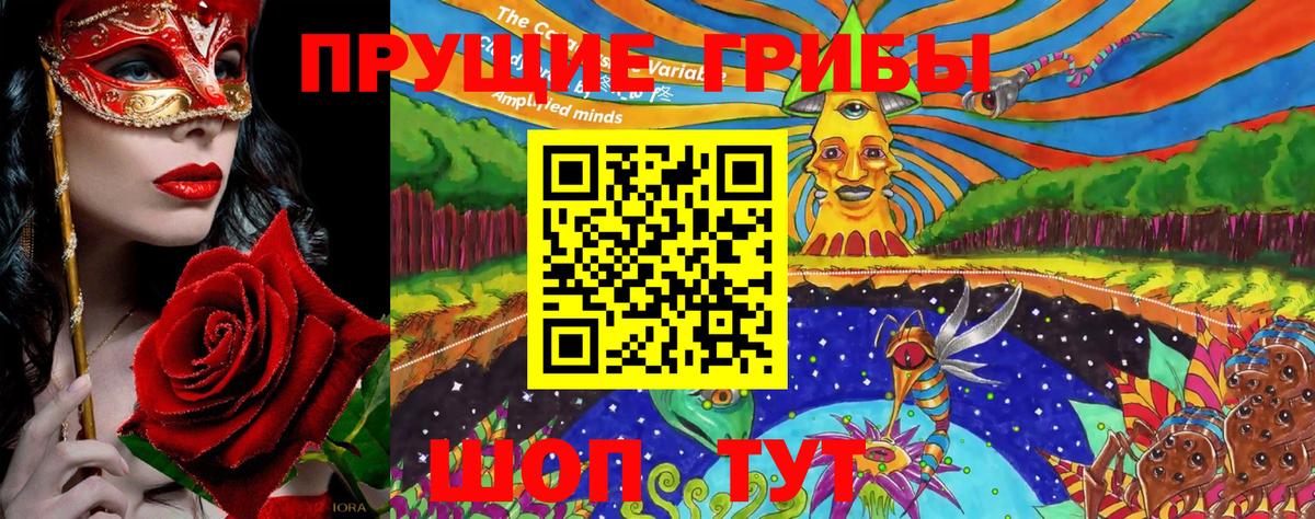 Галлюциногенные грибы Magic Shrooms  Вход с VPN  Ступино  Псилоцибиновые грибы Psilocybe 